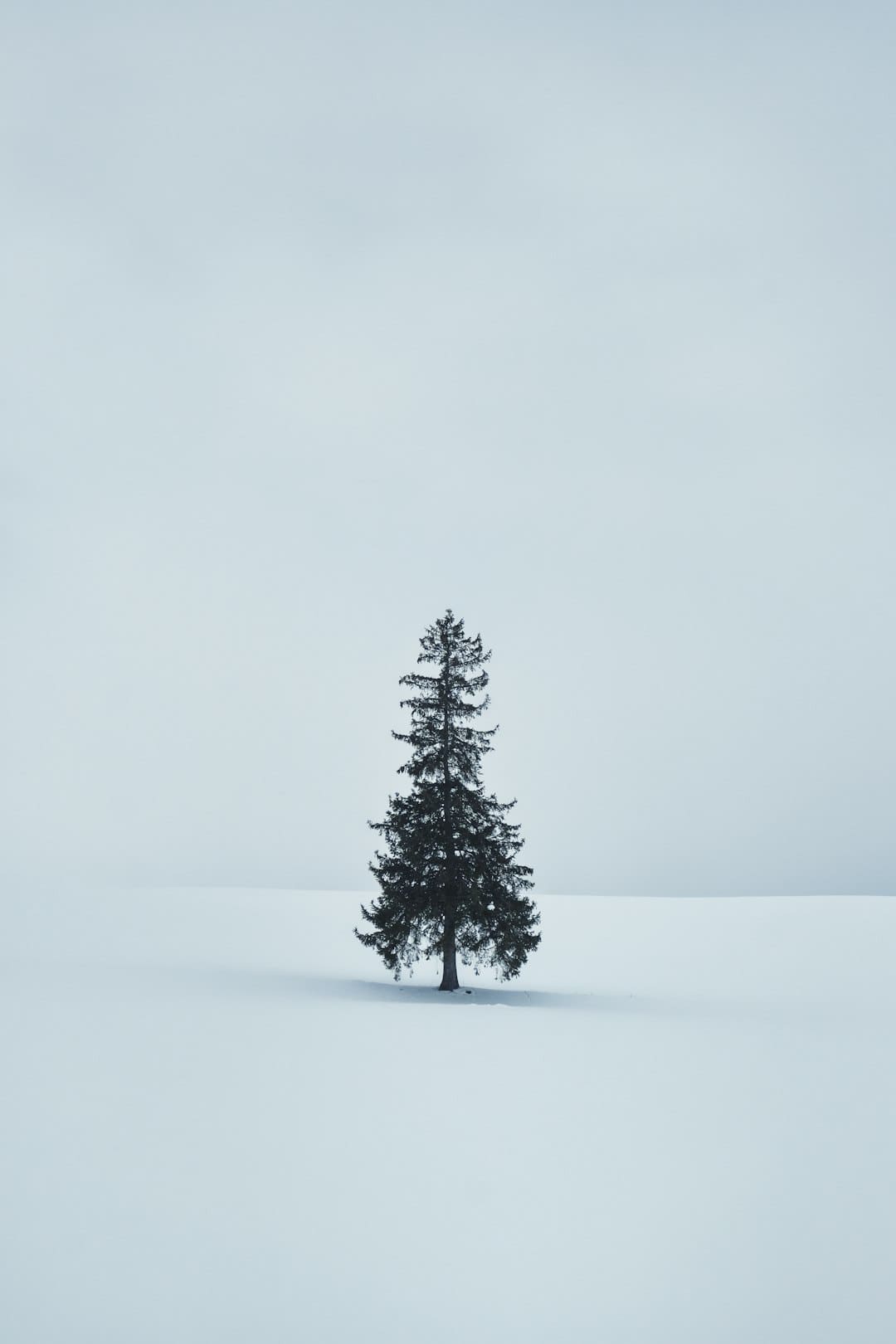 https://static.ws.126.net/163/frontend/images/2022/empty.png